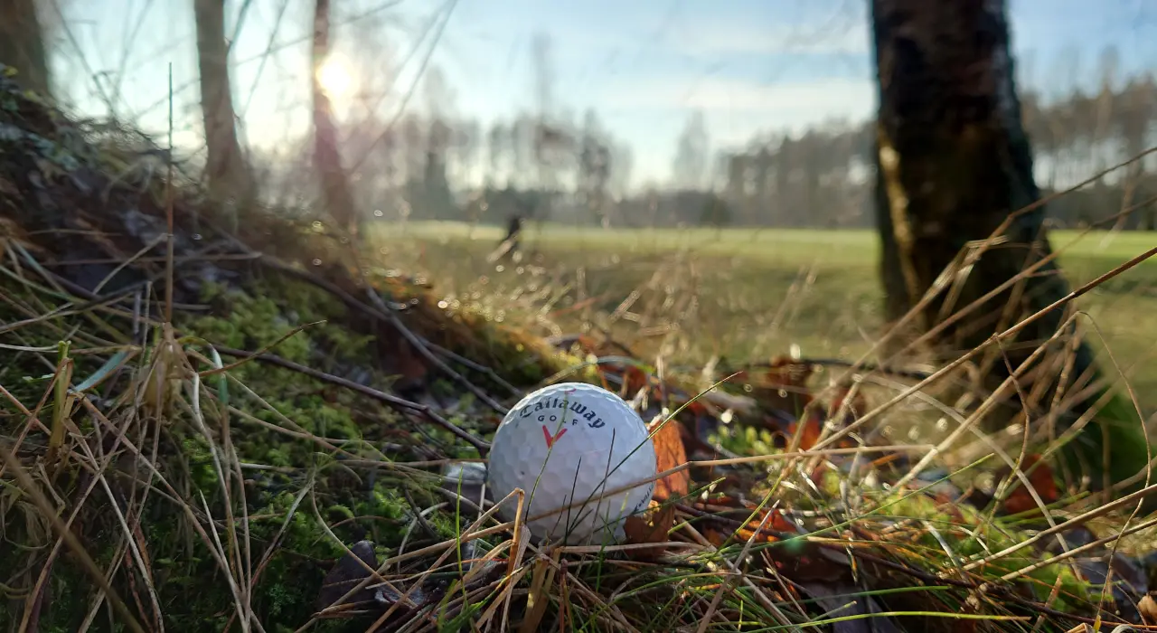 Booking Viesturi Golf Course